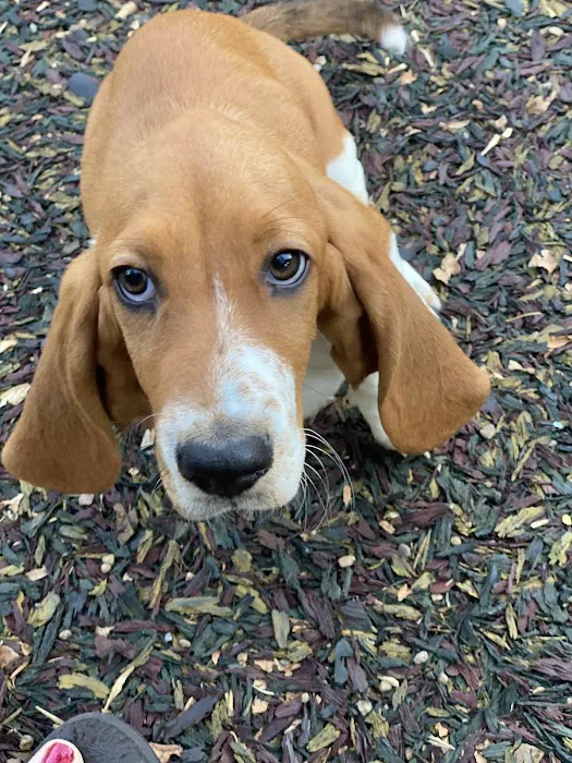 Nodaway Veterinary Clinic Picture 8