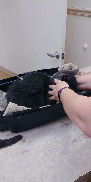 Nodaway Veterinary Clinic Picture 10