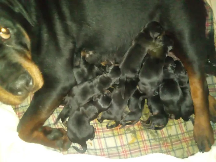 Nodaway Veterinary Clinic Picture 9