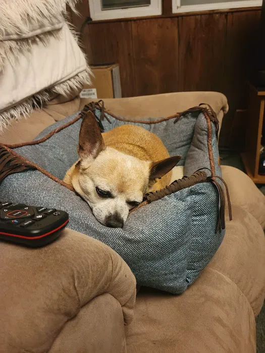 South Paws Veterinarian Clinic Picture 2