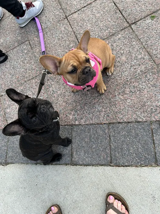 Fremont County Veterinary PC Picture 3