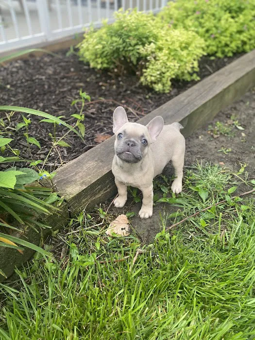 Fremont County Veterinary PC Picture 4