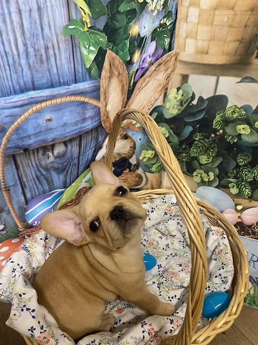 Fremont County Veterinary PC Picture 5