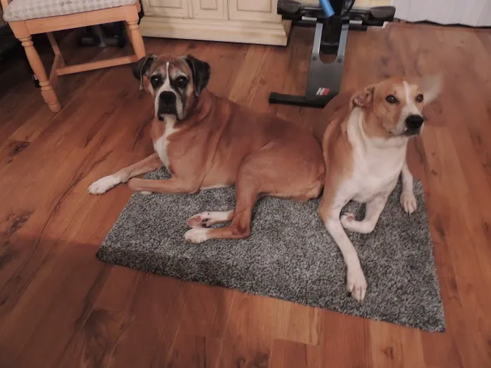 Fremont County Veterinary PC Picture 8