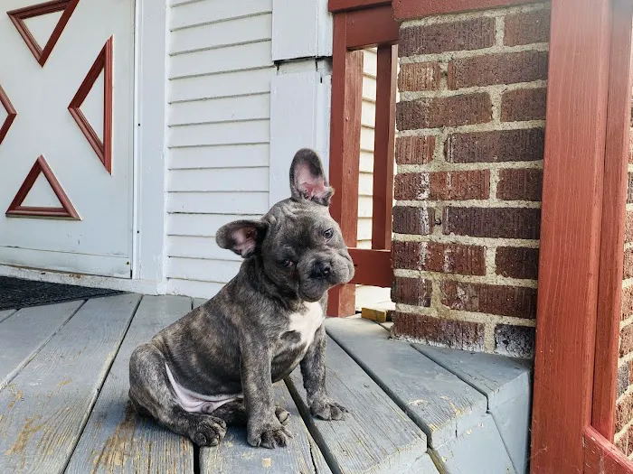 Fremont County Veterinary PC Picture 6