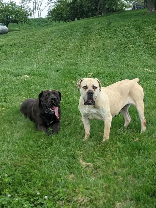 Fremont County Veterinary PC Picture 7