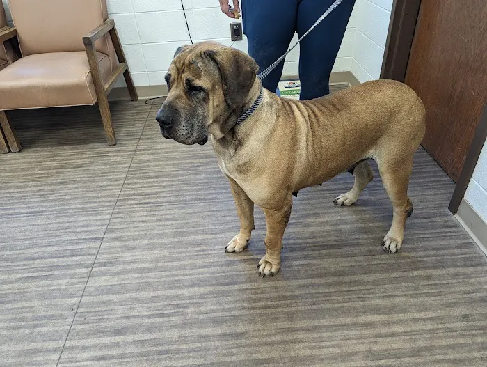 Fremont County Veterinary PC Picture 9