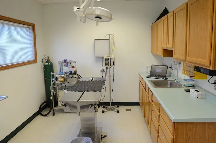 The Animal Clinic Picture 3