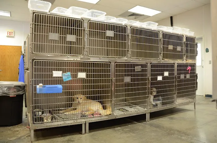 The Animal Clinic Picture 4