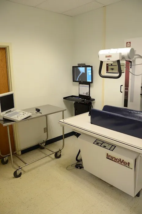 The Animal Clinic Picture 8