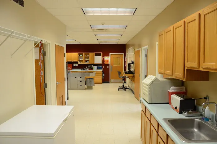 The Animal Clinic Picture 6