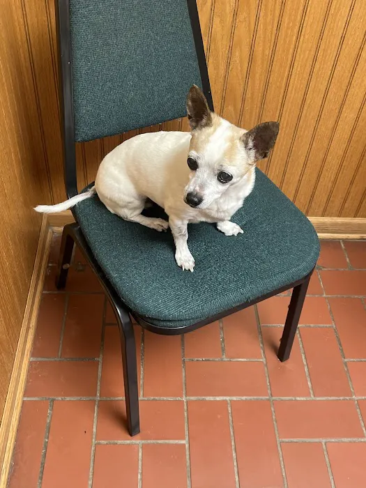 Plattsmouth Animal Hospital Picture 4