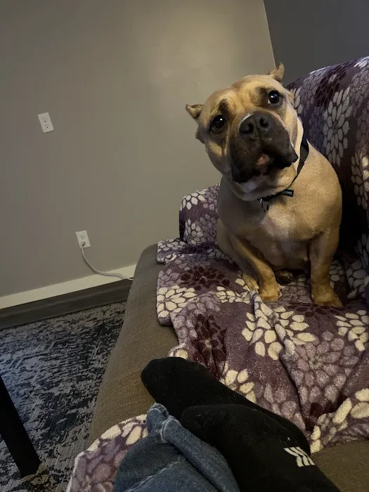 Plattsmouth Animal Hospital Picture 1