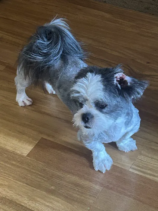 Plattsmouth Animal Hospital Picture 3