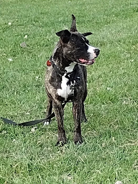 Plattsmouth Animal Hospital Picture 5