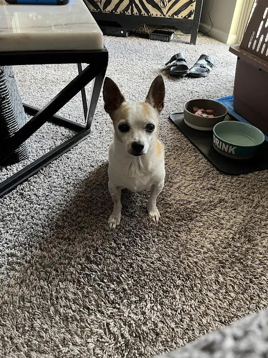 Plattsmouth Animal Hospital Picture 7