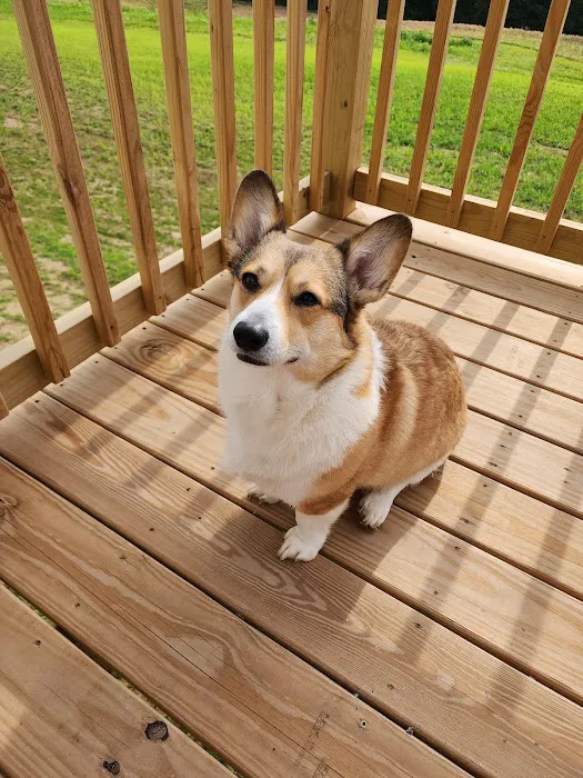 Plattsmouth Animal Hospital Picture 8