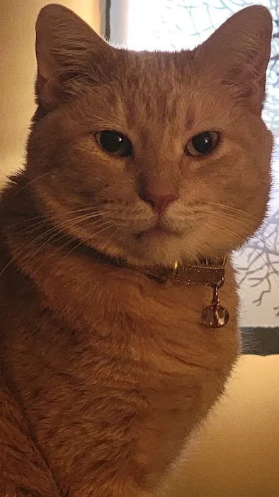 Plattsmouth Animal Hospital Picture 9