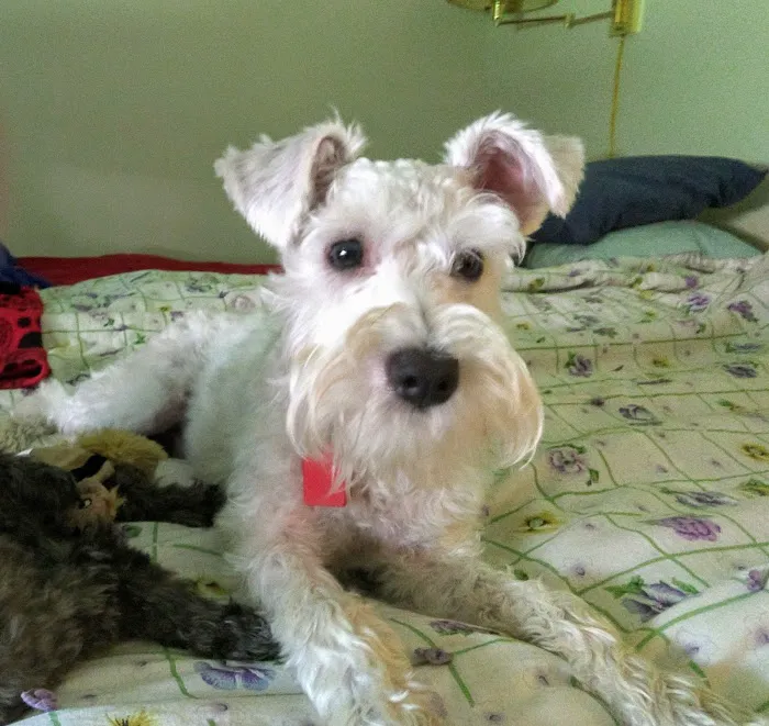 Plattsmouth Animal Hospital Picture 10