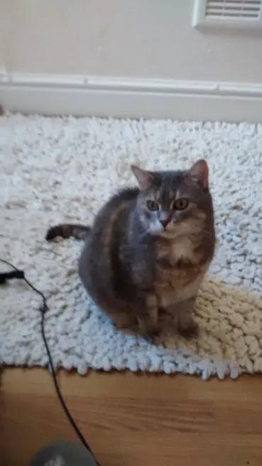 Maysville Veterinary Clinic Inc Picture 2