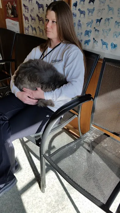 Maysville Veterinary Clinic Inc Picture 1