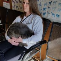 Maysville Veterinary Clinic Inc ico