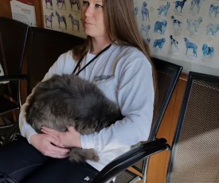 Maysville Veterinary Clinic Inc