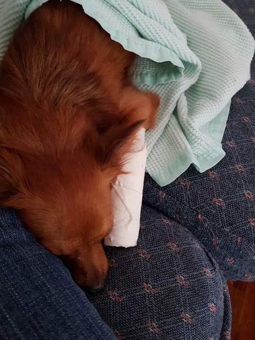 Maysville Veterinary Clinic Inc Picture 5