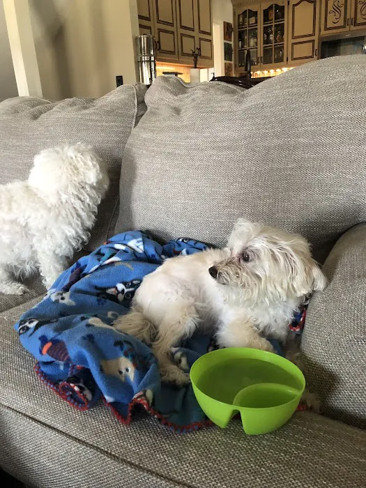 Plattsburg Animal Clinic Picture 1