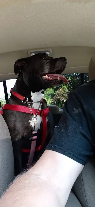 Plattsburg Animal Clinic Picture 4