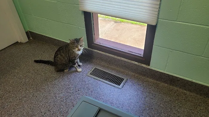 Plattsburg Animal Clinic Picture 9