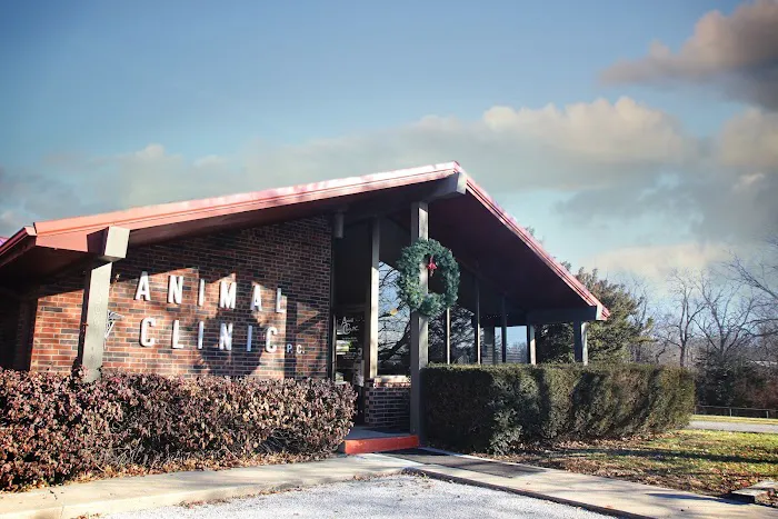 Plattsburg Animal Clinic Picture 7