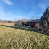 Holt Animal Clinic ico