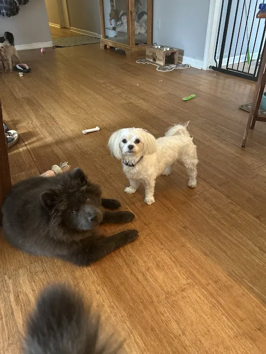 Vintage Plaza Veterinary Hospital Picture 4