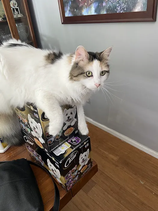 Vintage Plaza Veterinary Hospital Picture 3