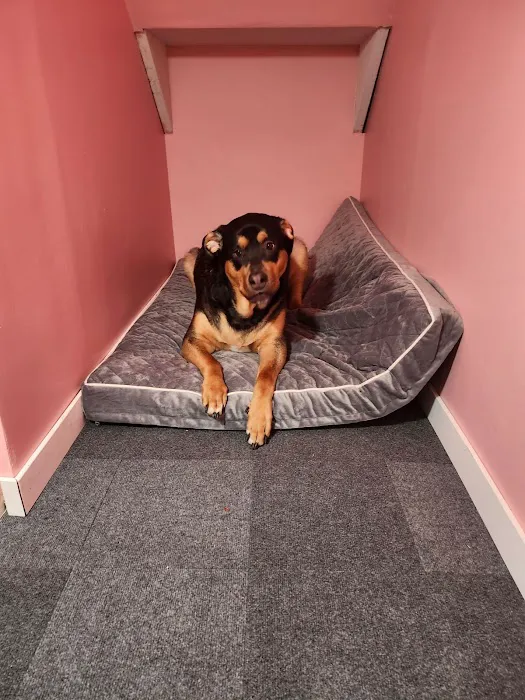 Vintage Plaza Veterinary Hospital Picture 2