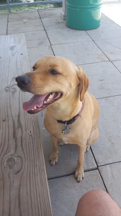 Vintage Plaza Veterinary Hospital Picture 1