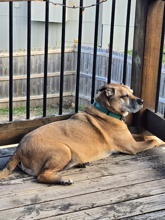 Excelsior Springs Animal Clinic Picture 2