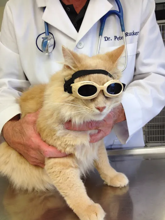 Excelsior Springs Animal Clinic Picture 3