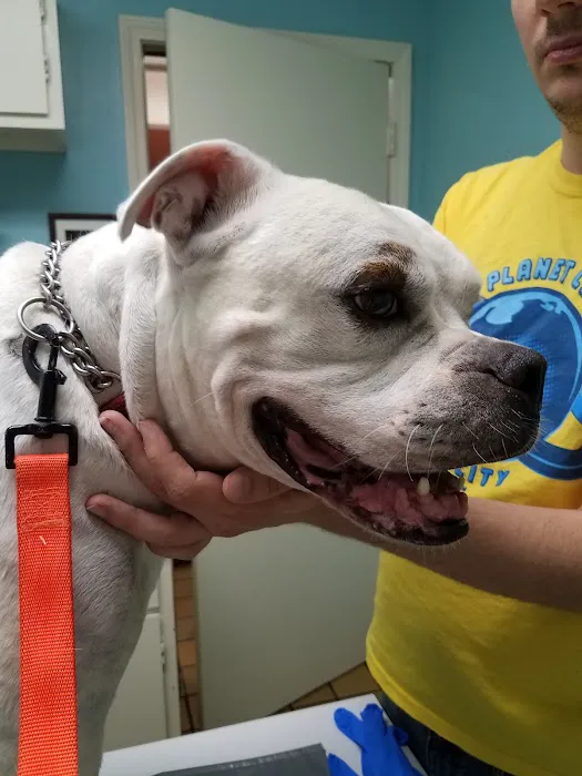 Excelsior Springs Animal Clinic Picture 6