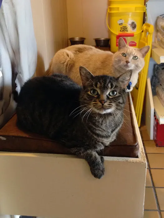 Excelsior Springs Animal Clinic Picture 9