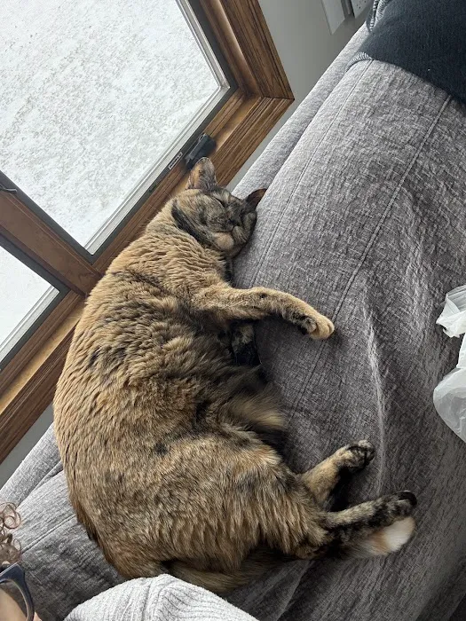 Excelsior Springs Animal Clinic Picture 8