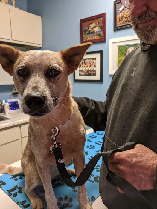 Excelsior Springs Animal Clinic Picture 10