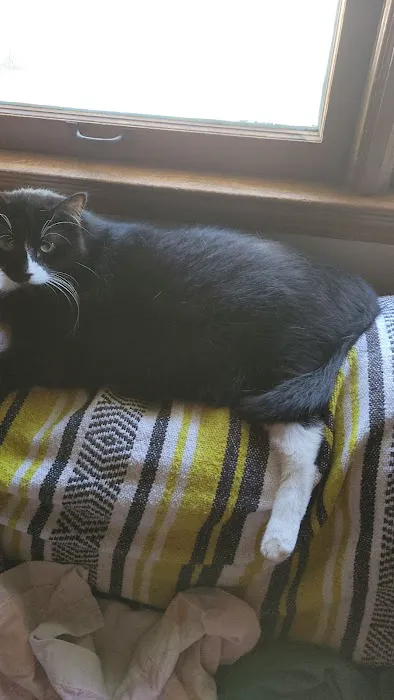 Ray County Animal Hospital Picture 1