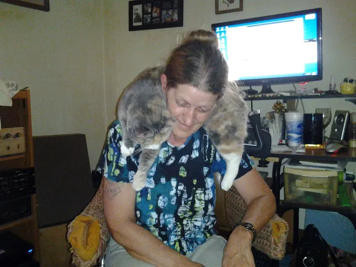 Ray County Animal Hospital Picture 2