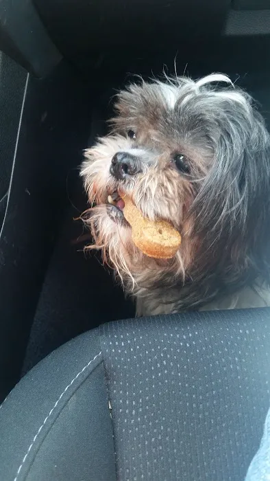 Ray County Animal Hospital Picture 4