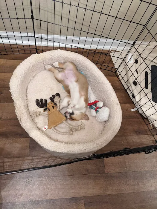 Ray County Animal Hospital Picture 3