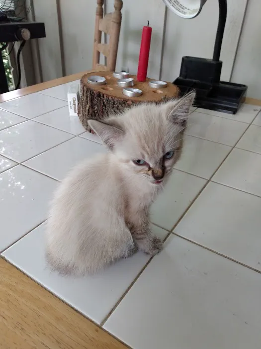 Ray County Animal Hospital Picture 7