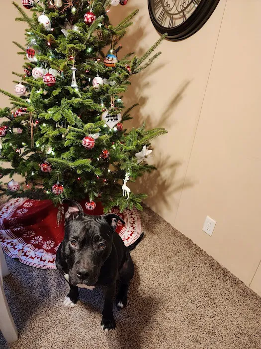 Ray County Animal Hospital Picture 9