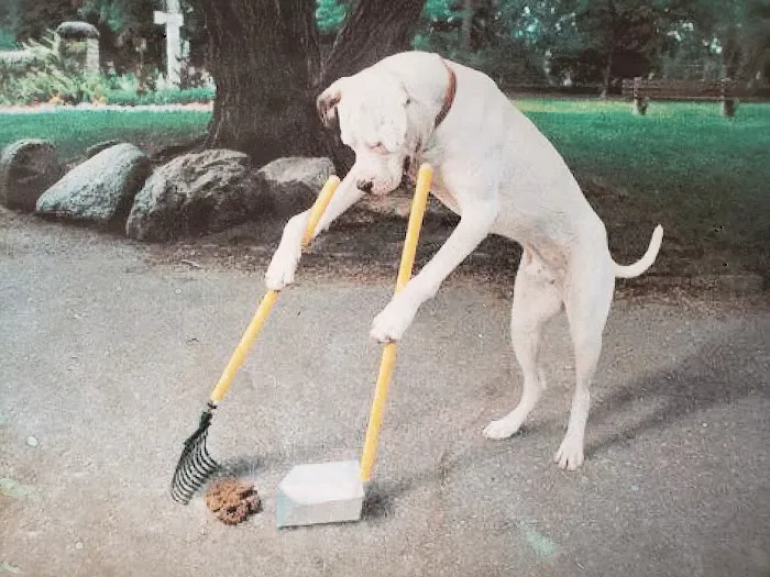 Ray County Animal Hospital Picture 8